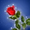 Beauty and the Beast Pantomime Script